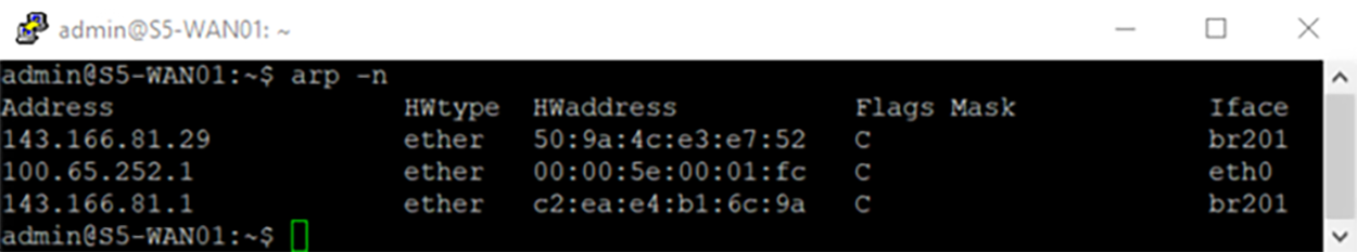 arp -n command results