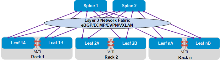 SFS Layer 3 leaf-spine fabric