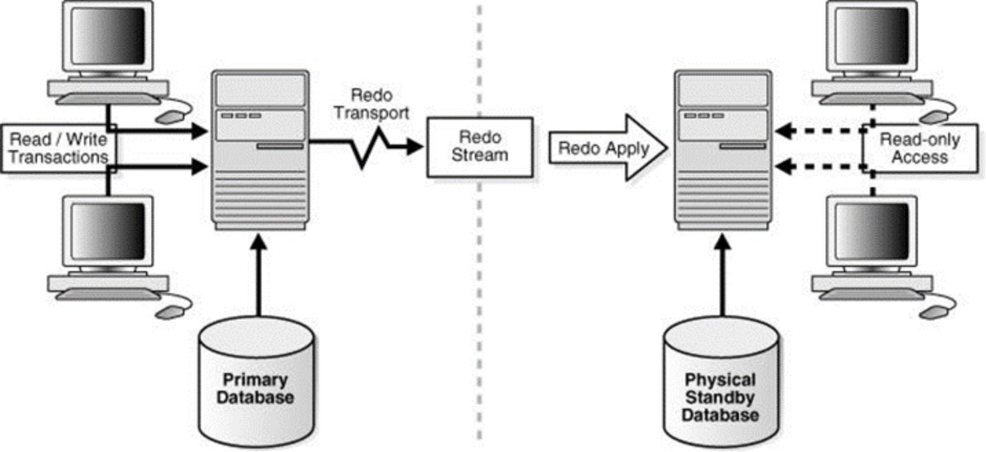 Physical Standby Dell AppSync Integration With Oracle Database 