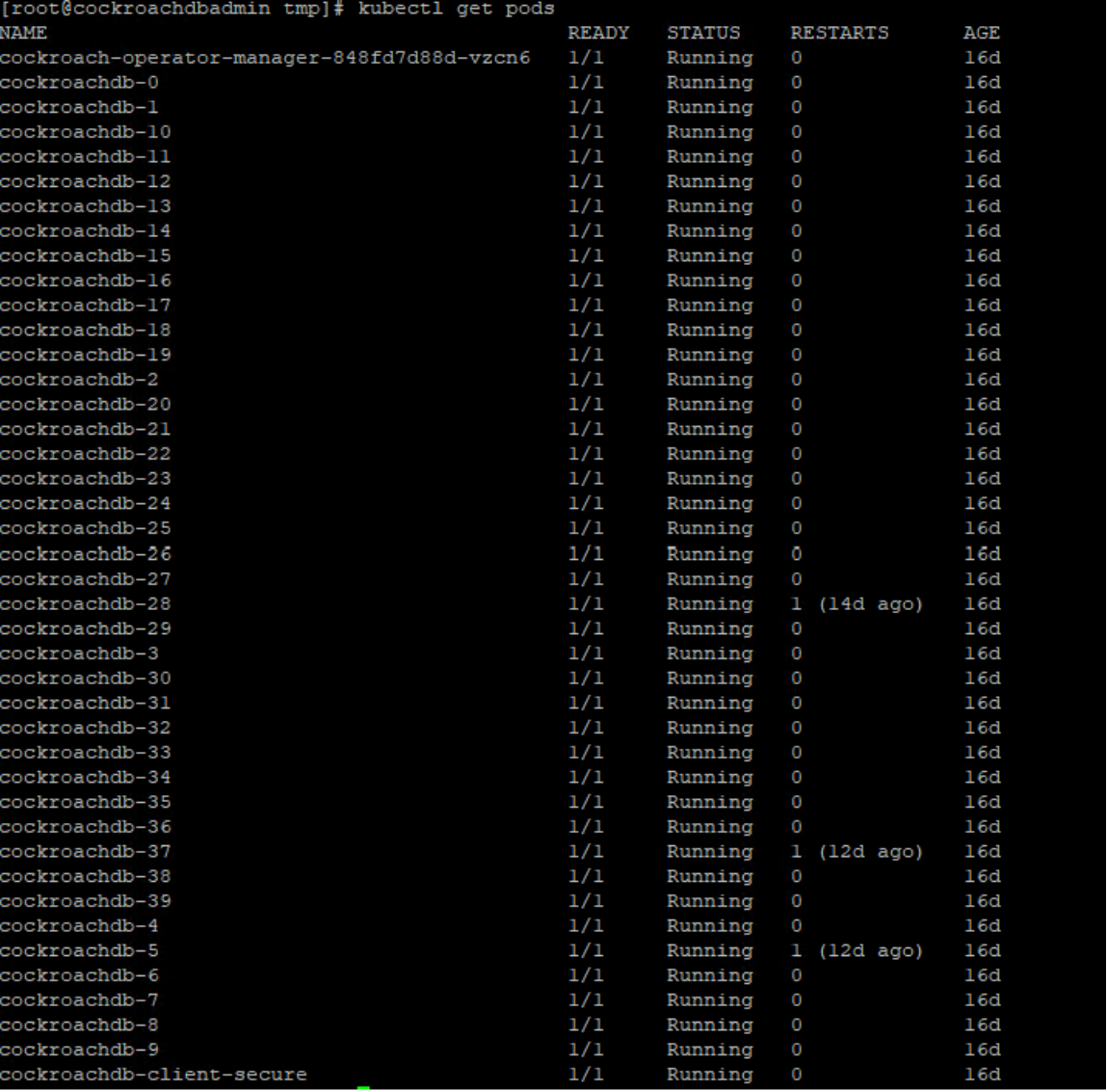 This figure sows a list of CockroachDB pods.