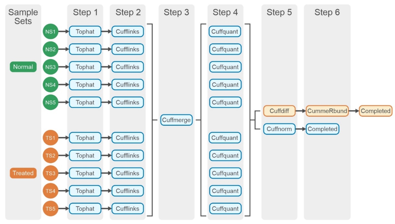 A diagram of a step by stepDescription automatically generated