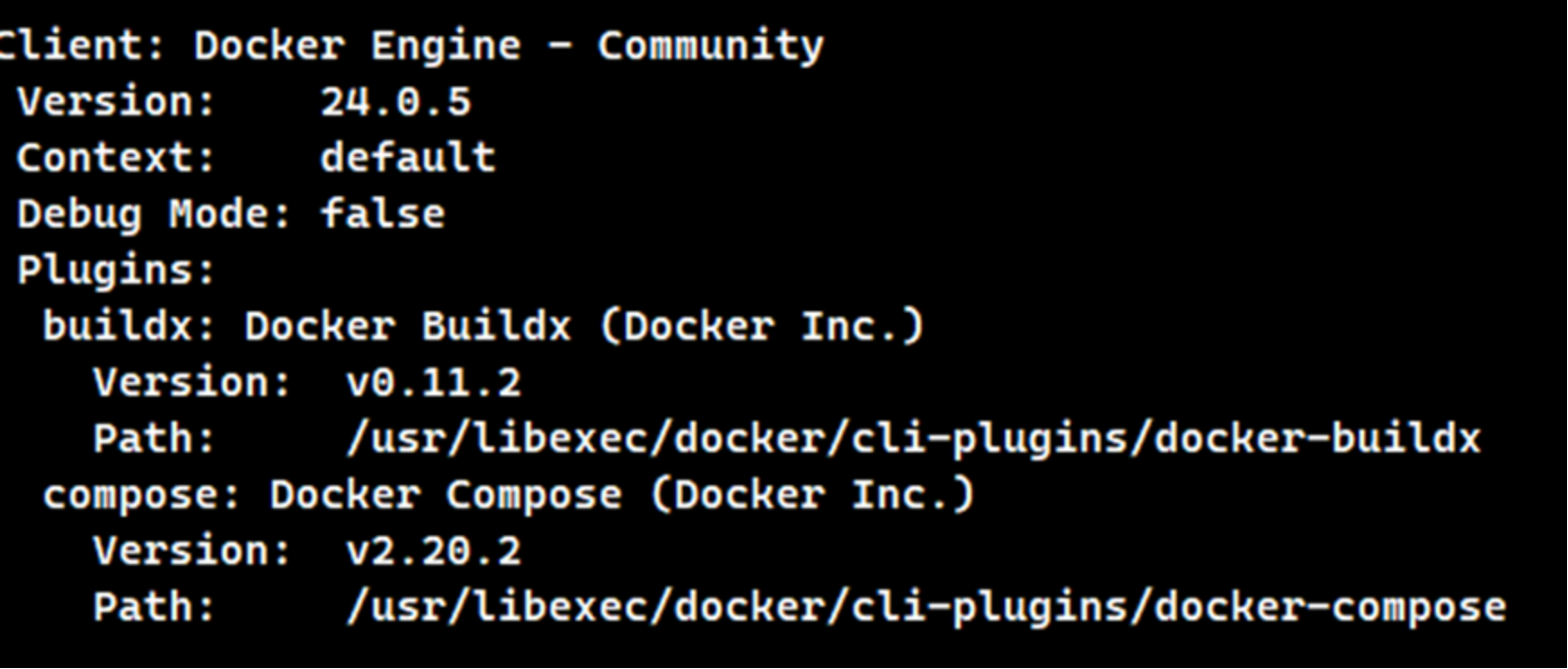 Code and output of the docker info command