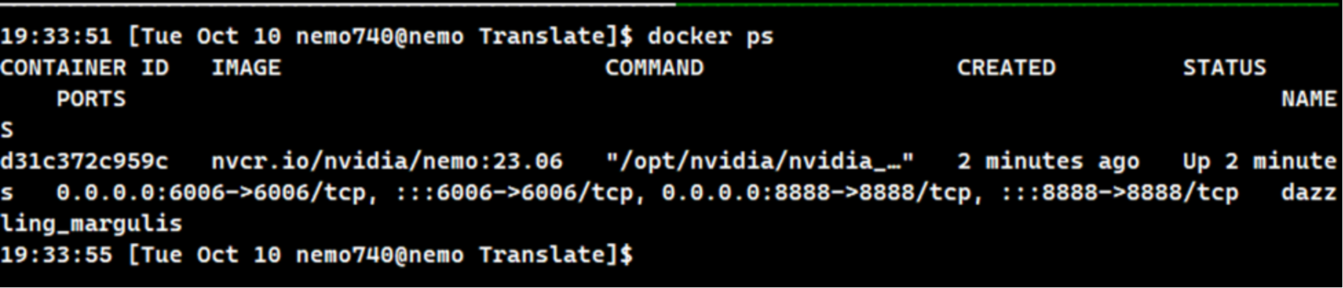 Code and output of the docker ps  command