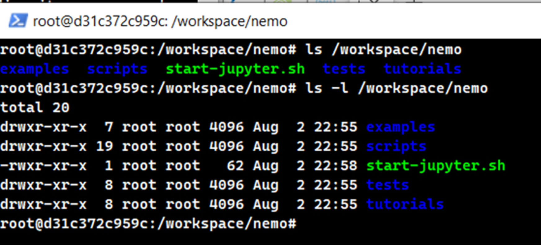 Code and output of the ls /workspace/nemo command