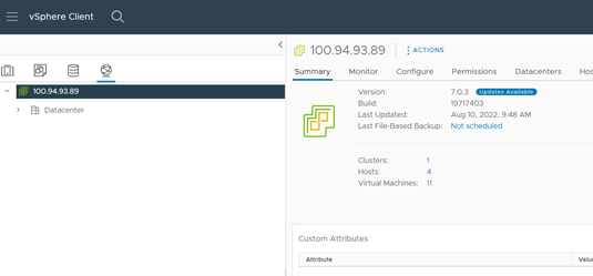 Accessing the Networking tab in the vSphere Client