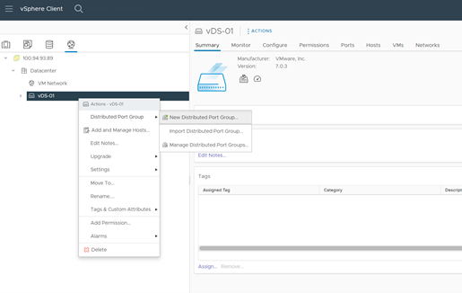 Deploying a test port group in the vSphere Client UI