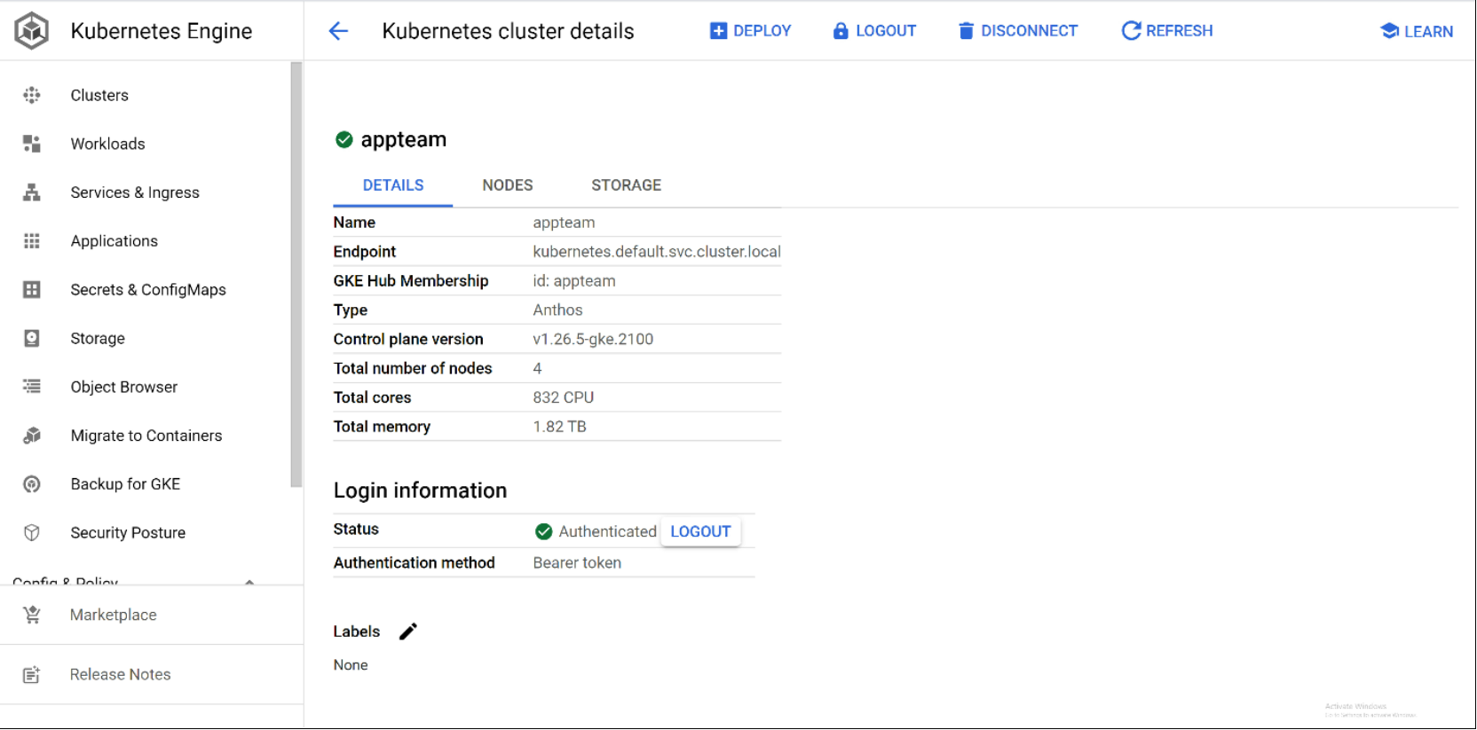 This figure shows the details of a Kubernetes cluster deployed on the nodes.