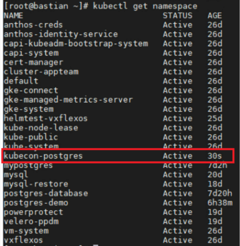 This figure shows the new namespace created in the cluster.