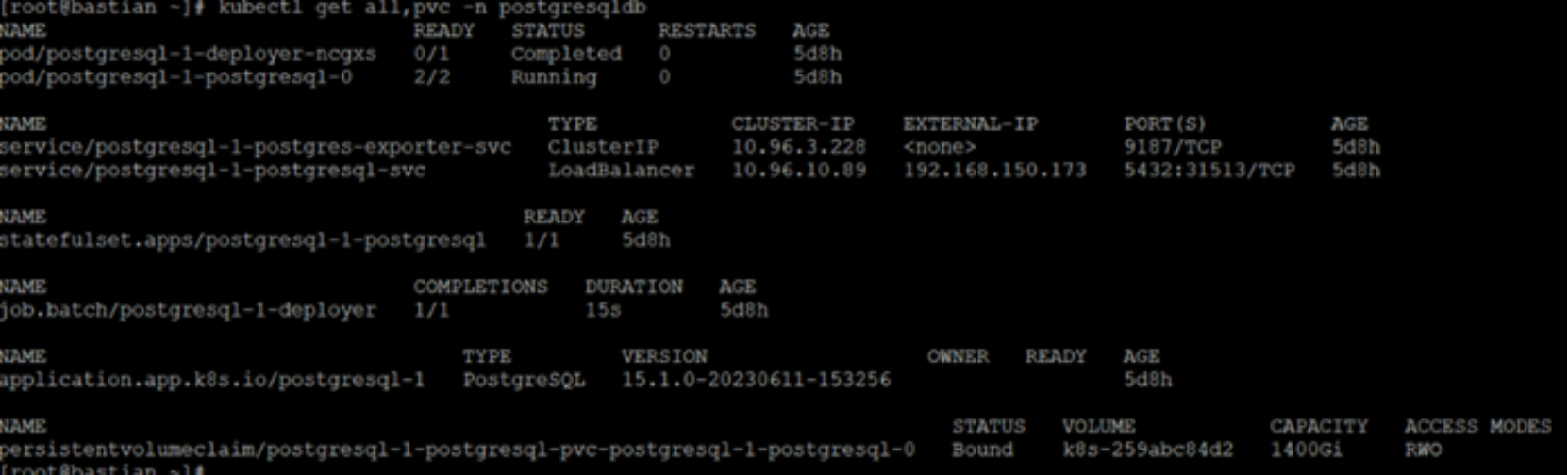 This figure shows the PostgreSQL application pod in the namespace.
