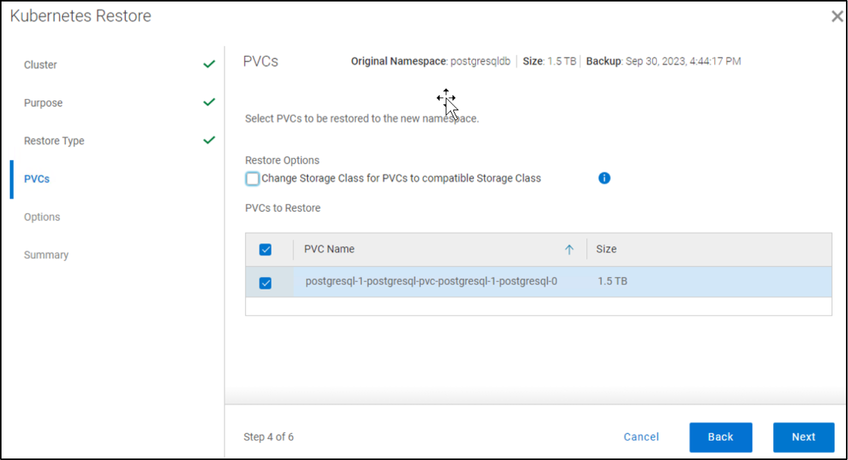 This figure shows the selection of PVCs for a restore.