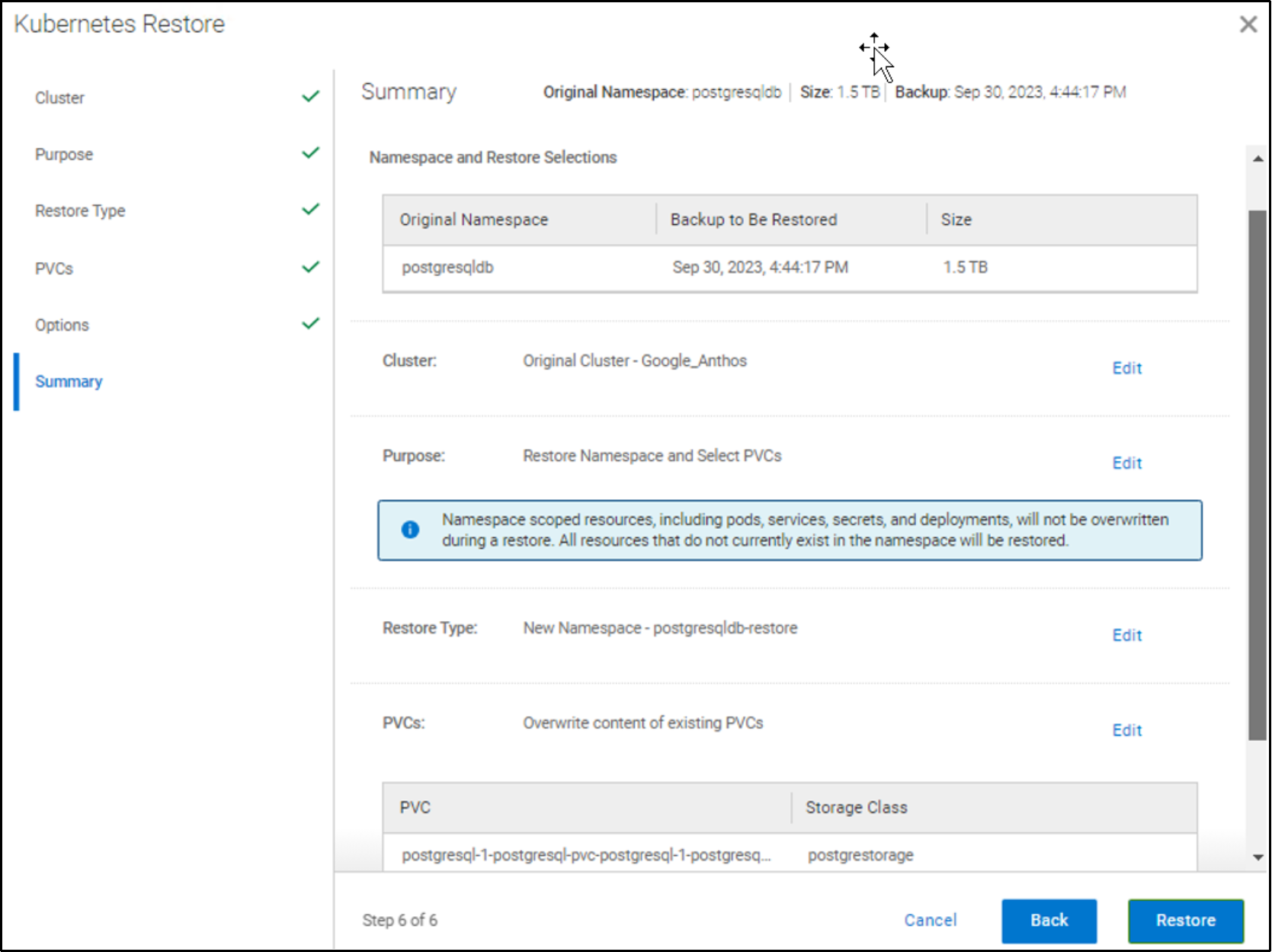 This figure shows the restore summary.