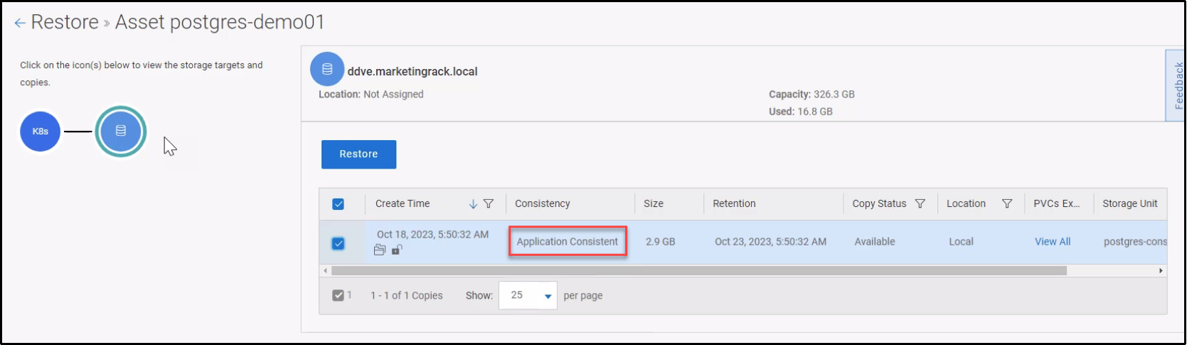 This figure shows the application consistent backup copy from PowerProtect Data Manager UI.