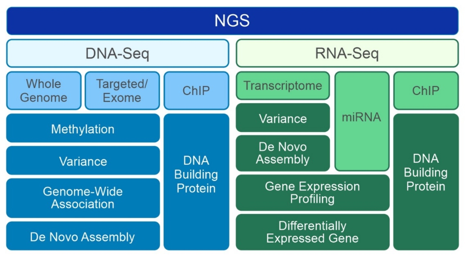 A diagram of different types of dnaDescription automatically generated
